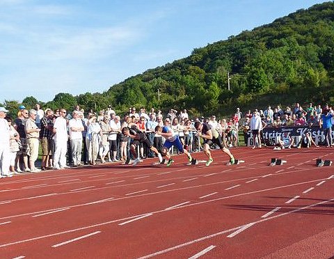 Unter die Stars gemischt