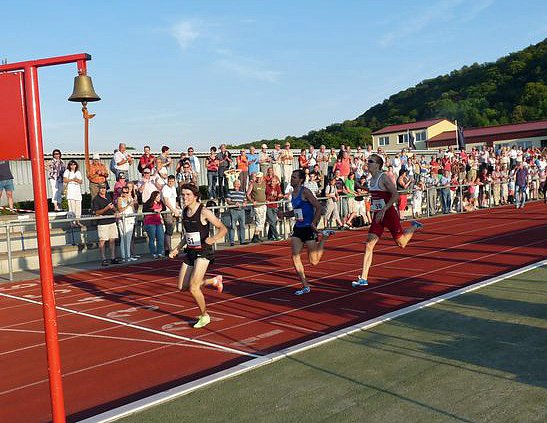 Unter die Stars gemischt