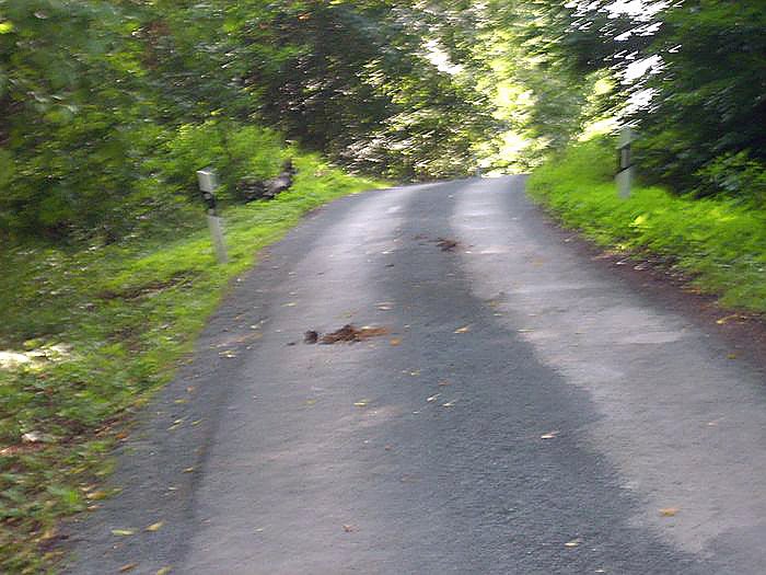 Beschissene Angelegenheit