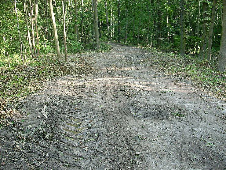 Verklappsung oder Unversch&auml;mtheit