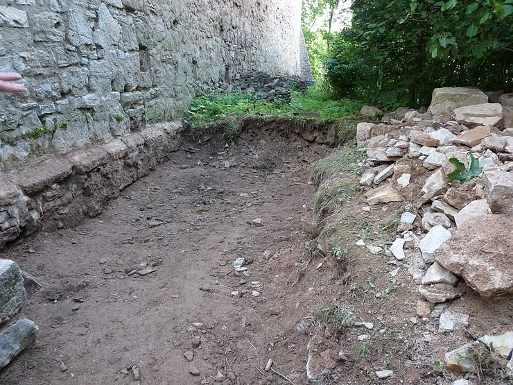 Patenschaft wird angestrebt