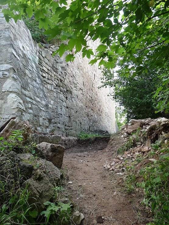 Patenschaft wird angestrebt