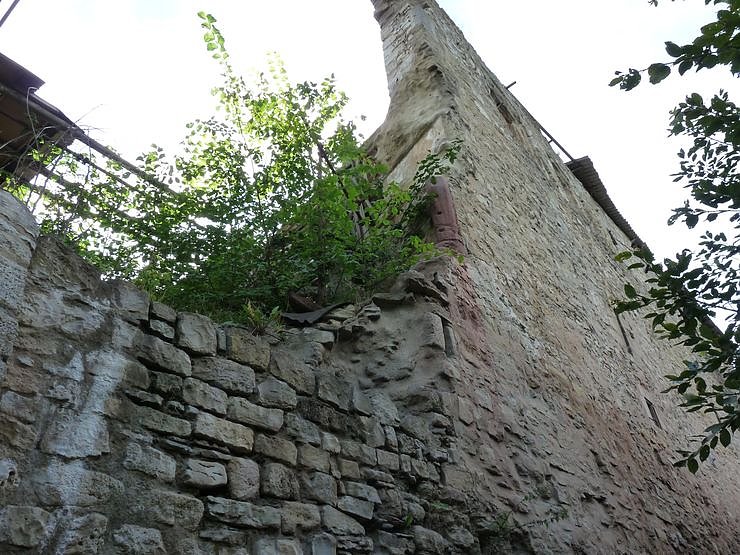 Patenschaft wird angestrebt