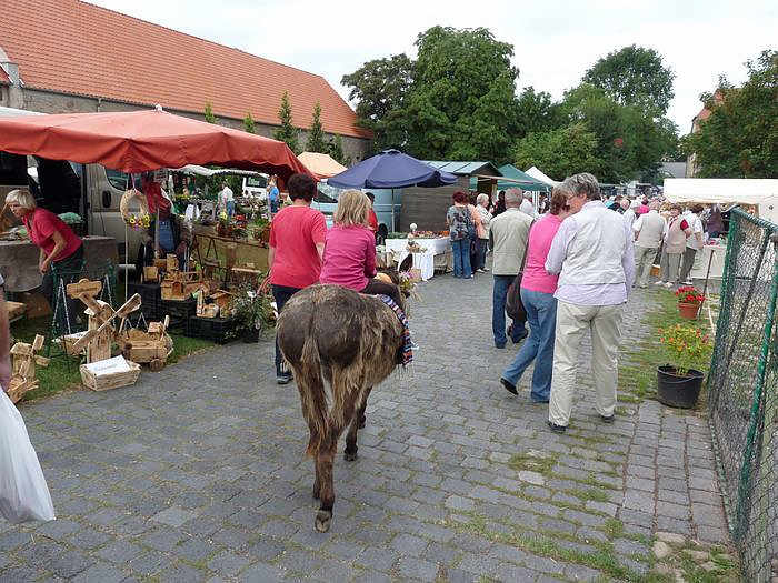 Der Trick mit den Stadtmusikanten