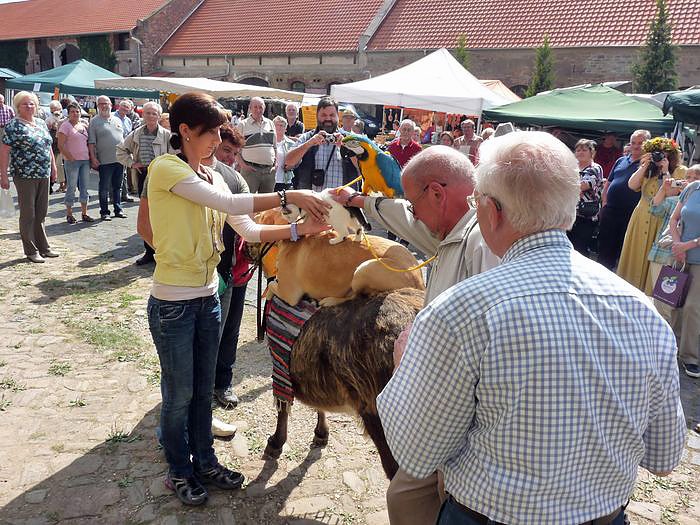 Der Trick mit den Stadtmusikanten