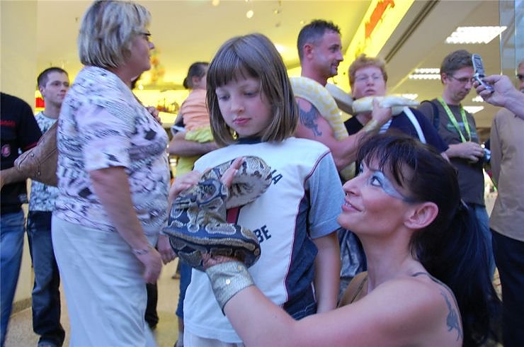 "Magie & Mythos" in der S&uuml;dharzgalerie