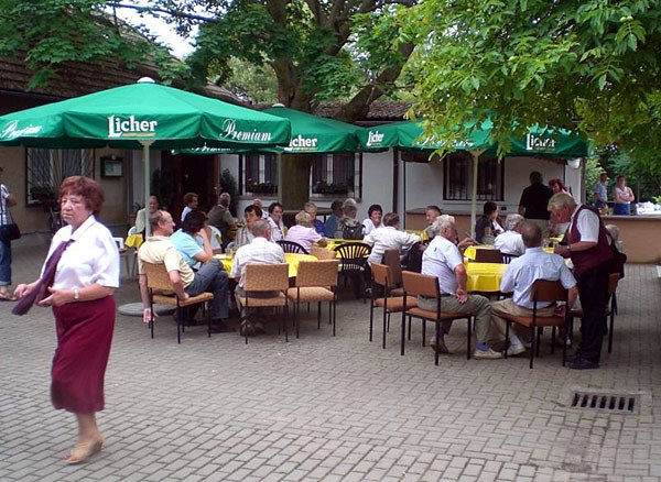 33. Arterner Gartenfest