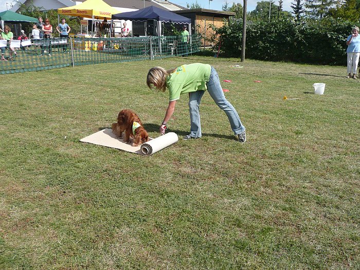 5. Frankenhisser Hundetag