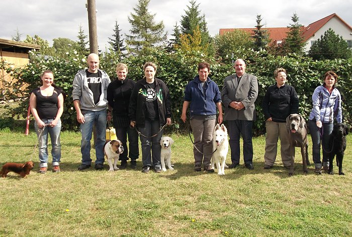 Showhandling und Ringtraining