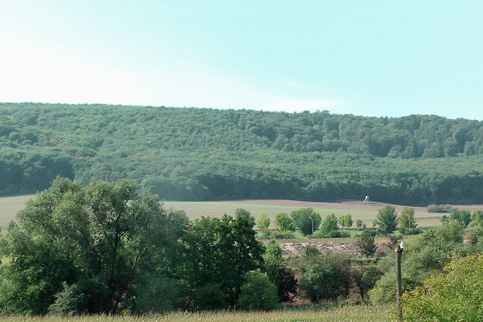 Aufgespie&szlig;t: Grund zum Feiern?