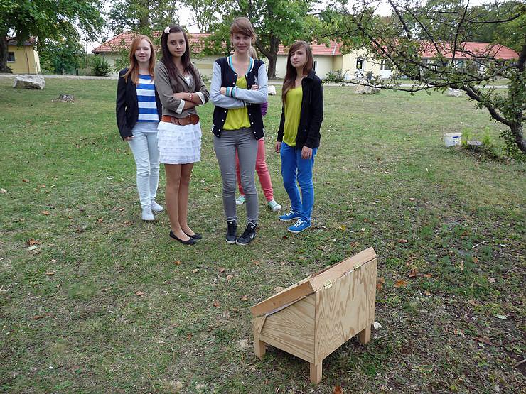 Deutsch-Polnisches Energieprojekt