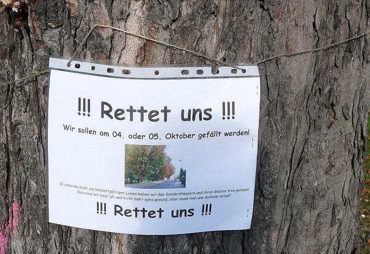 Rettet uns
