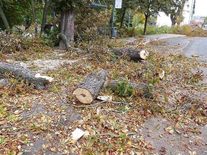 Keine Meldung warum!