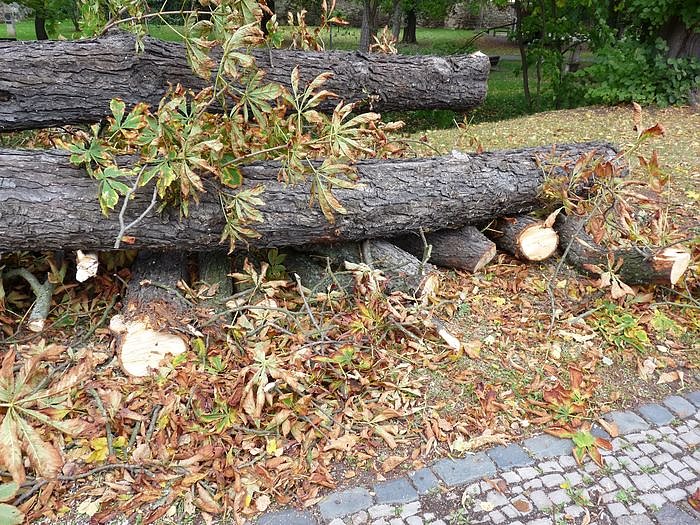 Keine Meldung warum!