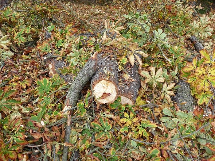 Keine Meldung warum!