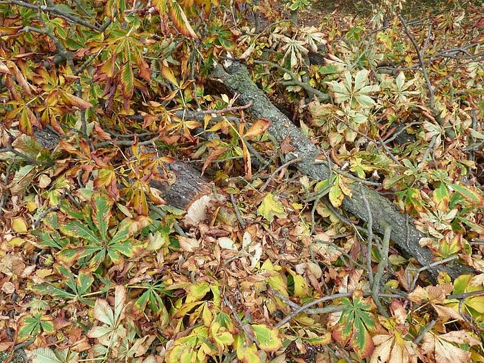 Keine Meldung warum!