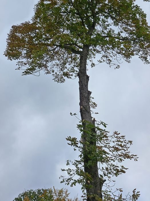 Keine Meldung warum!