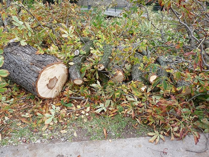 Keine Meldung warum!
