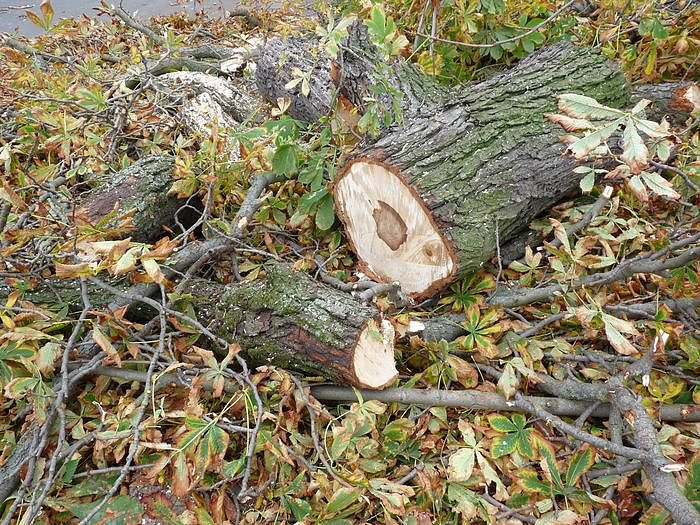 Keine Meldung warum!