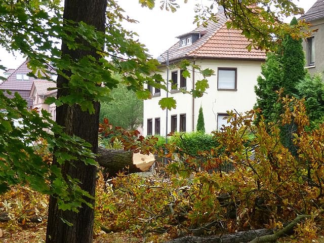 Leser sehen es auch so!