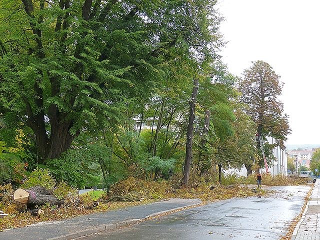 Leser sehen es auch so!