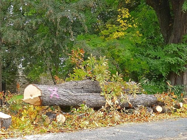 Leser sehen es auch so!