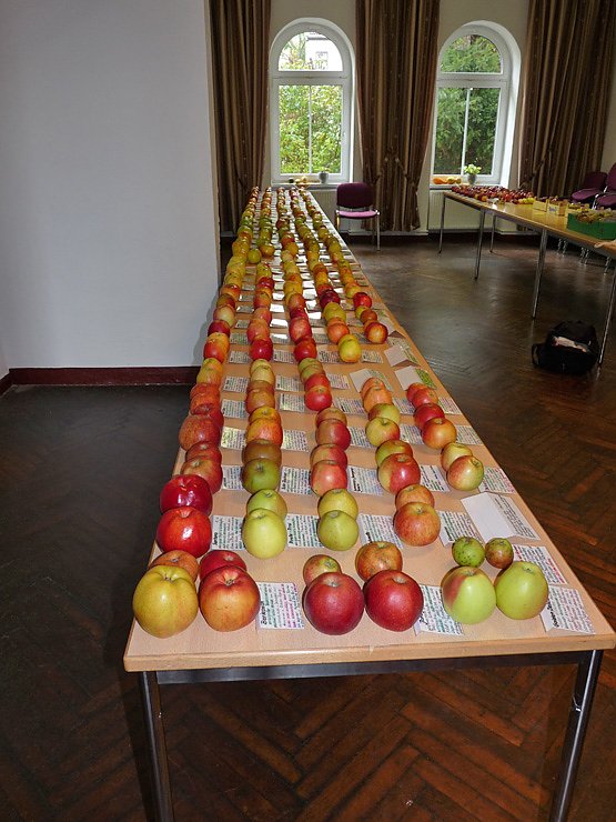 Was f&uuml;r ein Andrang