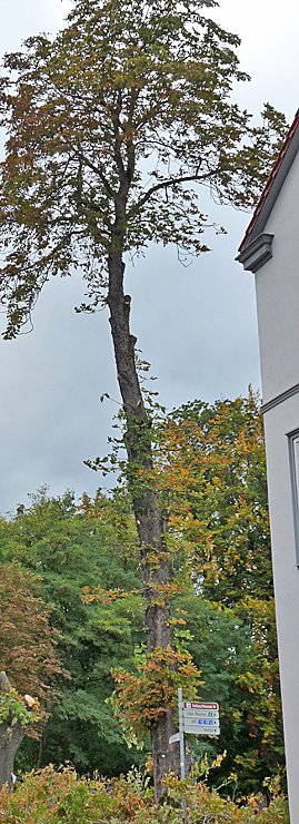 kn-Kommentar: Augen zu und durch?