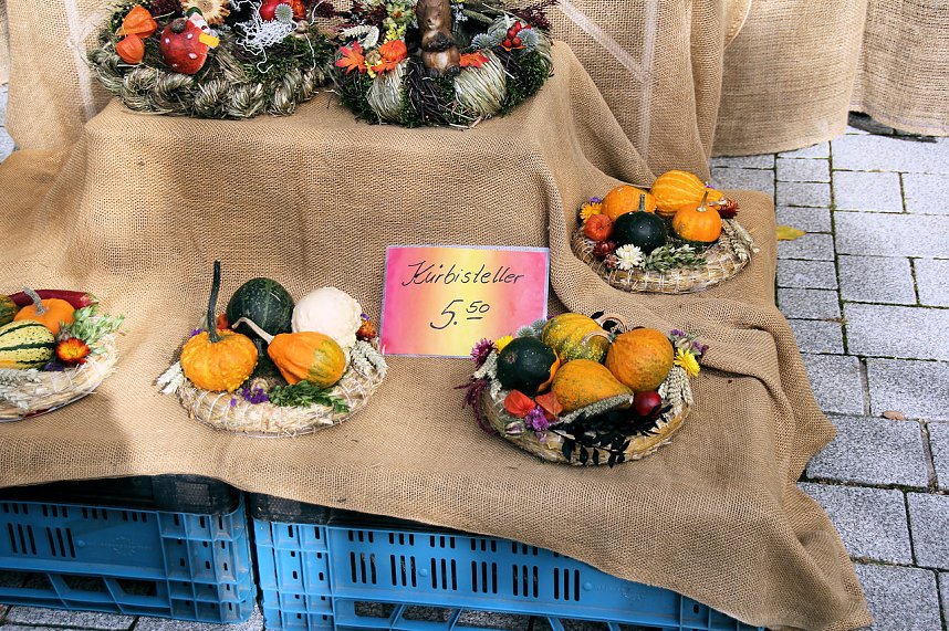 Besuch auf dem Zwiebelmarkt