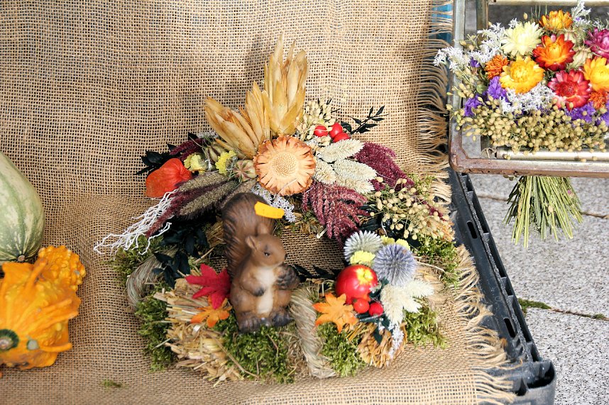 Besuch auf dem Zwiebelmarkt