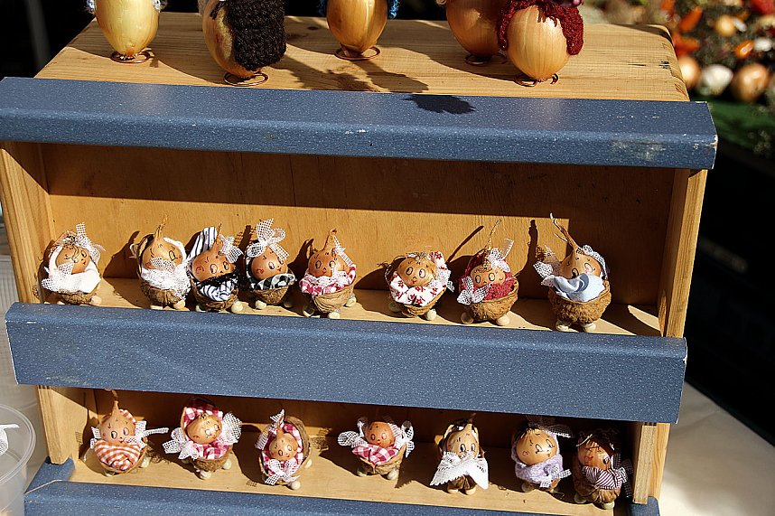 Besuch auf dem Zwiebelmarkt