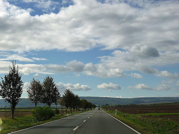 Zwiebelmarkt in Artern,