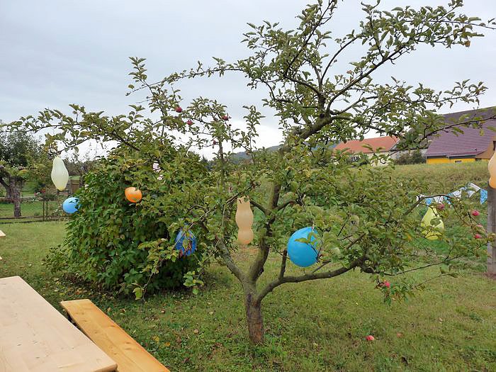 Stimmungsvoll eingeweiht