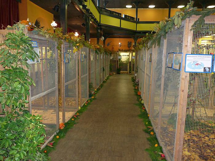 Zwei Titel nach Sondershausen