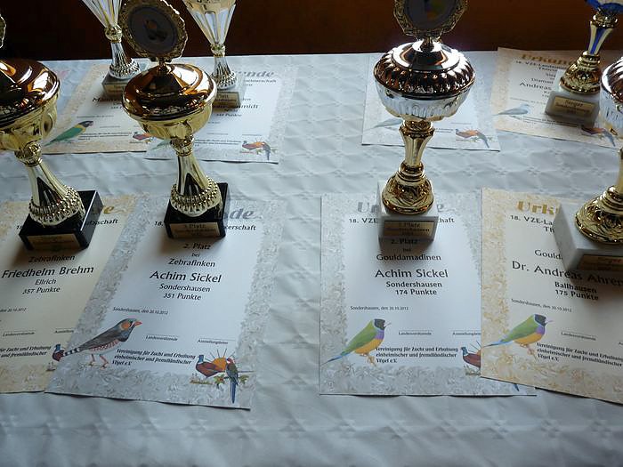 Zwei Titel nach Sondershausen