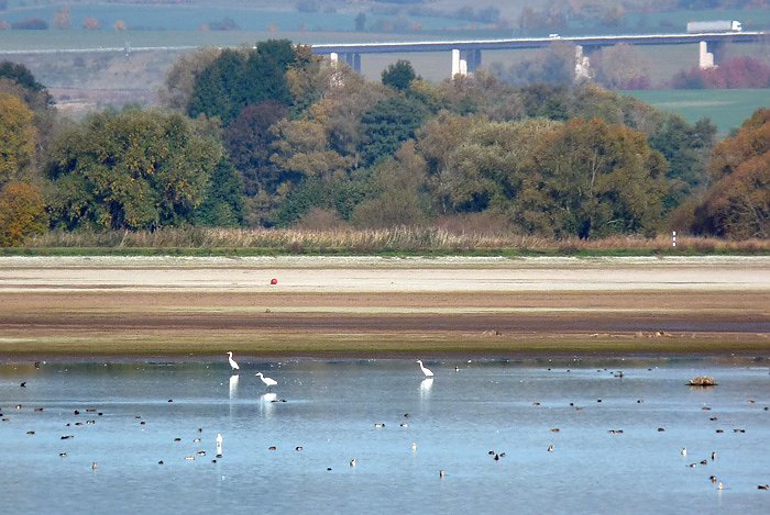 Smog in Sondershausen