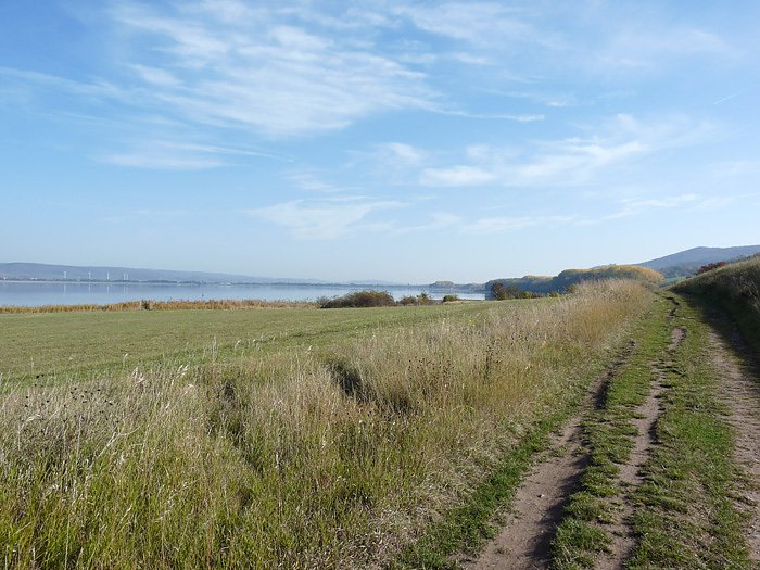 Smog in Sondershausen