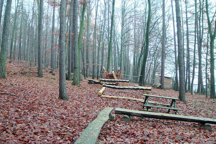 Erst gef&ouml;rdert und dann?