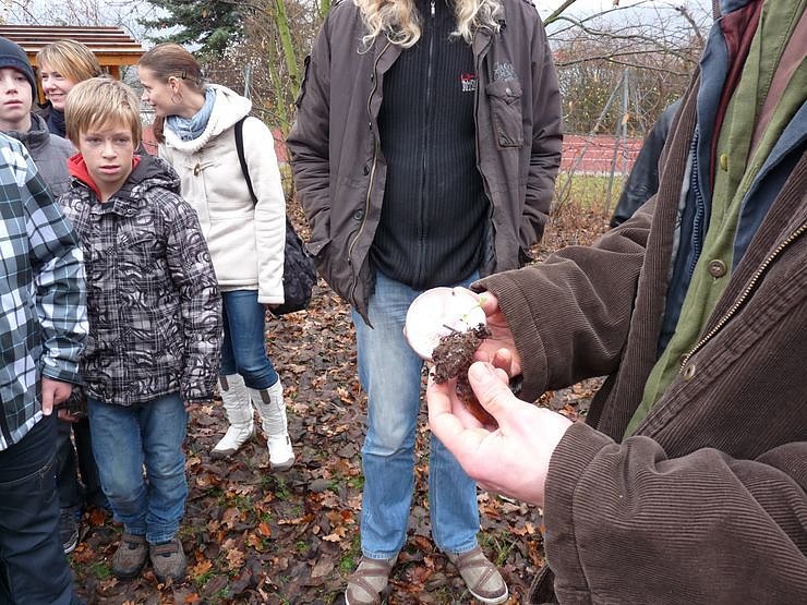 Sondershausen lebenswerte Stadt