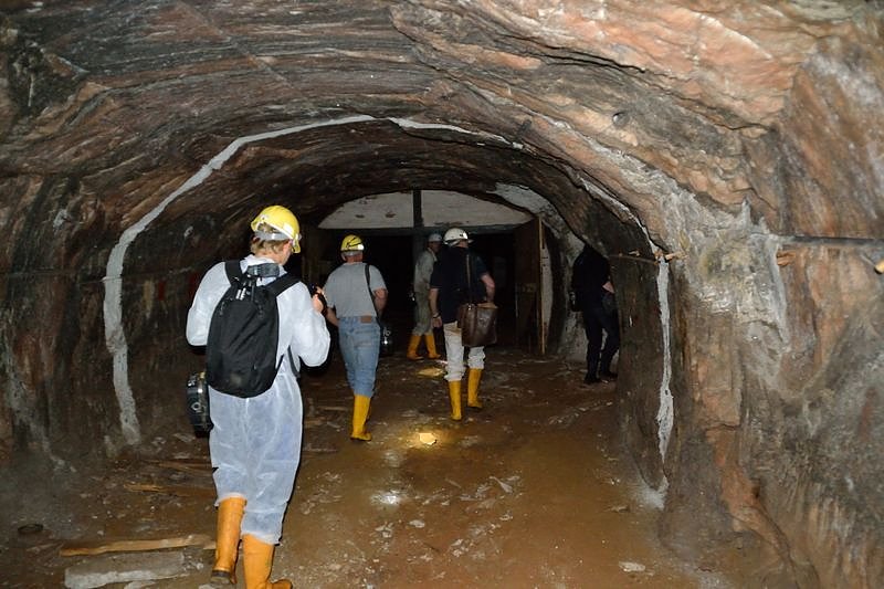 F&uuml;r die Ewigkeit konserviert