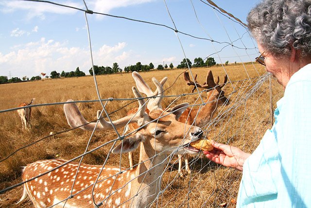 Alterskameraden Feuerwehrverband Sondershausen