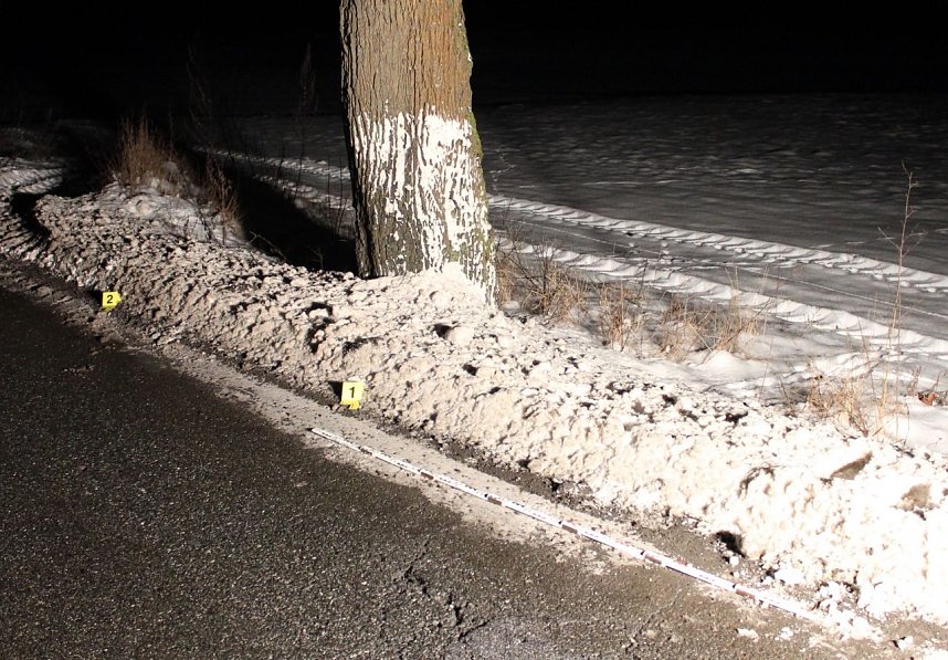 Verfolgungsjagd im S&uuml;dharz