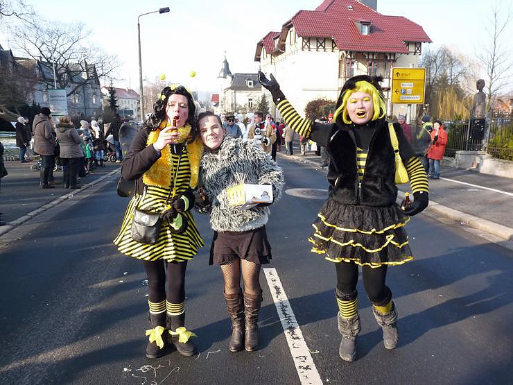 Was f&uuml;r ein Umzug (2)
