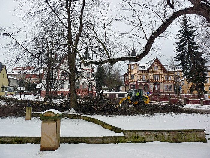 Baumf&auml;llungen passiert