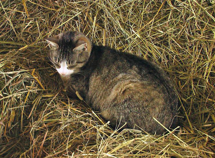 Besuch auf Arche- Rh&ouml;nschafhof
