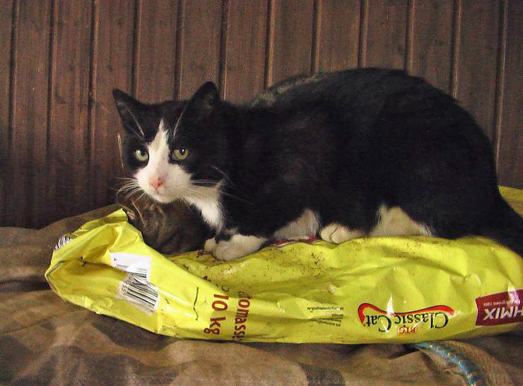 Besuch auf Arche- Rh&ouml;nschafhof