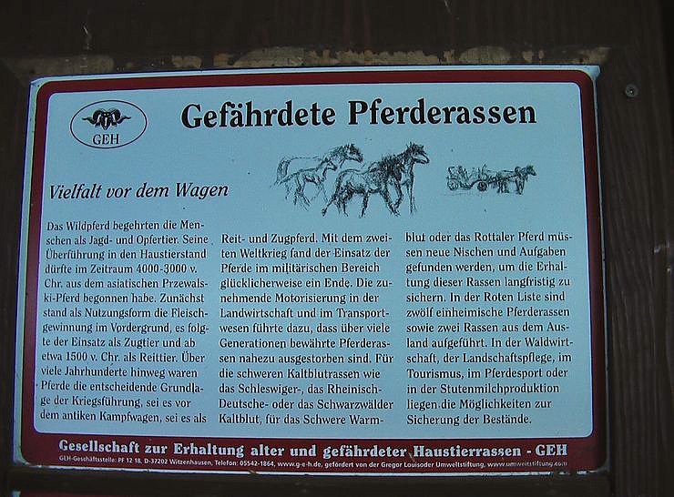 Besuch auf Arche- Rh&ouml;nschafhof