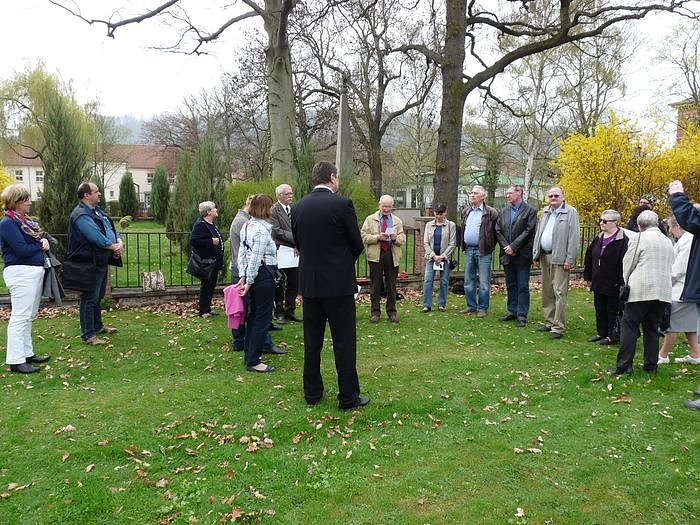 Der besondere Apfelbaum