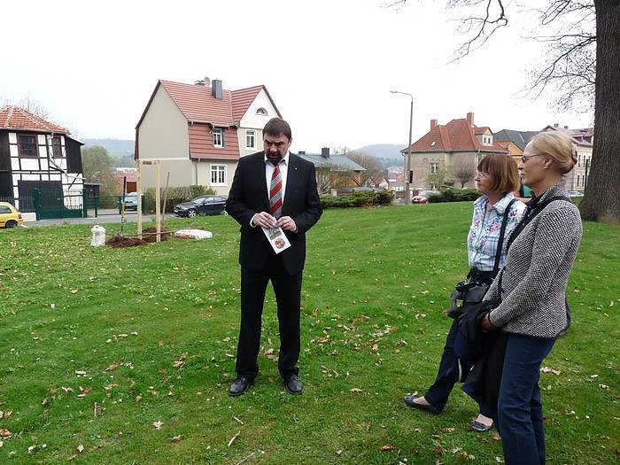 Der besondere Apfelbaum