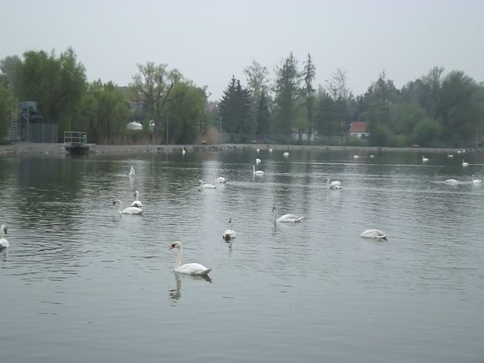 Senioren auf Stadtrundfahrt in M&uuml;hlhausen